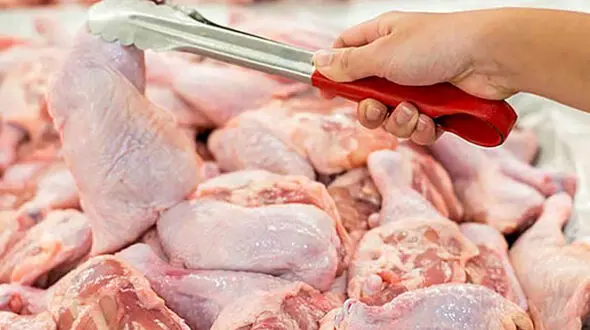 قیمت مصوب مرغ گرم و منجمد اعلام شد / بیشتر نخرید + جزئیات