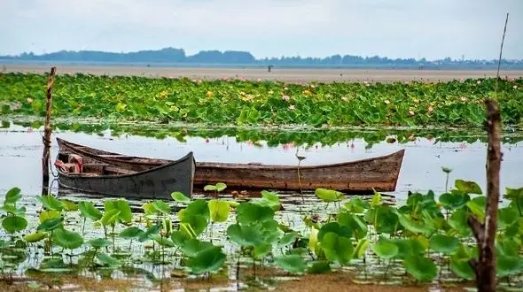 مردم برای نگهداشت طبیعت چه وظایفی دارند 