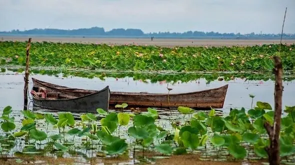 مردم برای نگهداشت طبیعت چه وظایفی دارند 