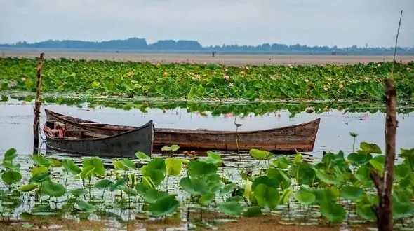 مردم برای نگهداشت طبیعت چه وظایفی دارند 