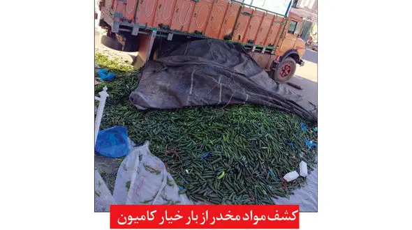 این خیارها را می خوردید پرواز می کردید ! / پلیس مشهد مچ گیری کرد