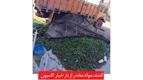 این خیارها را می خوردید پرواز می کردید ! / پلیس مشهد مچ گیری کرد