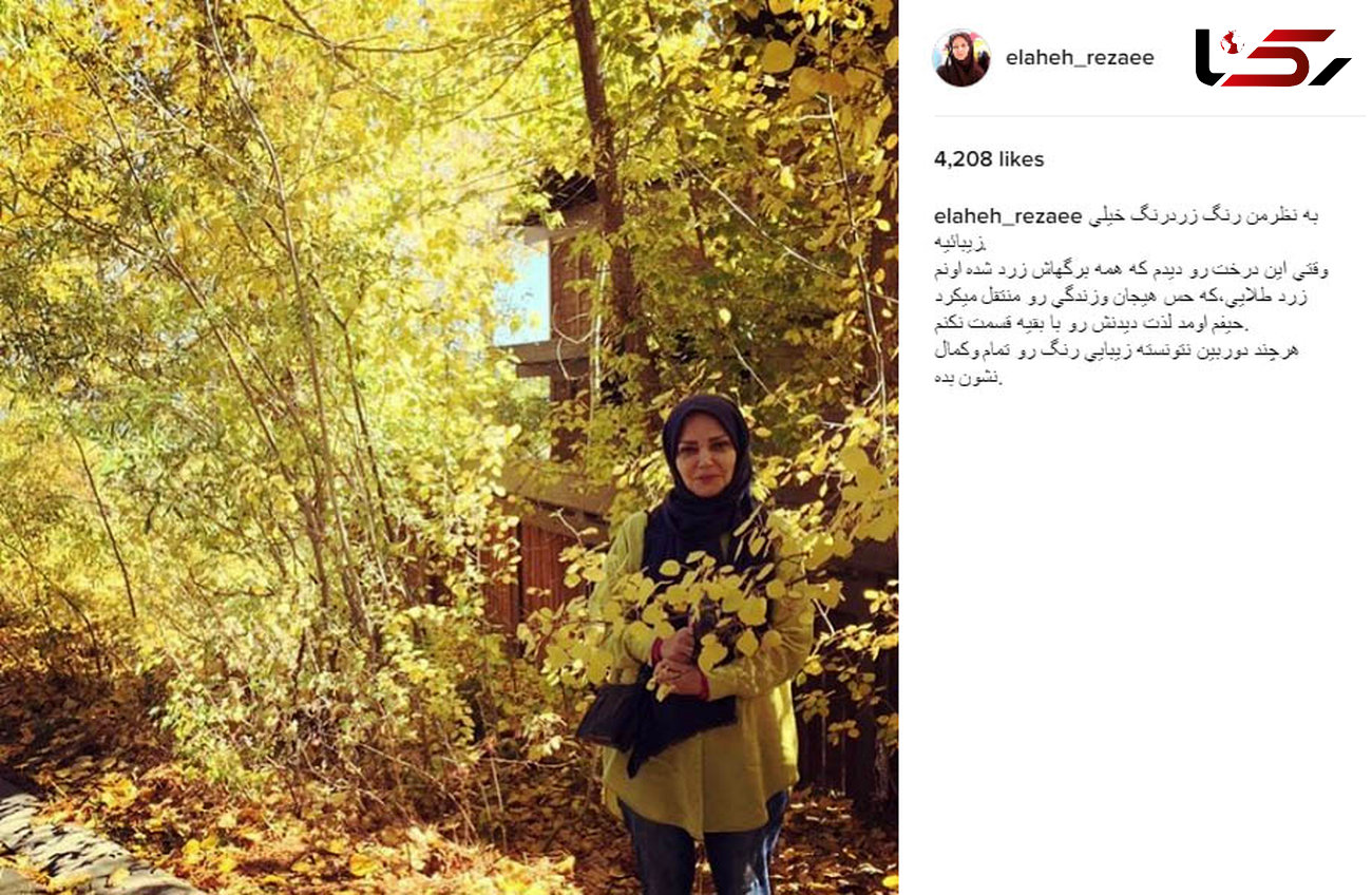 پست پاییزی و طلایی رنگ مجری زن نوستالژیک تلوزیون ایران! +عکس 