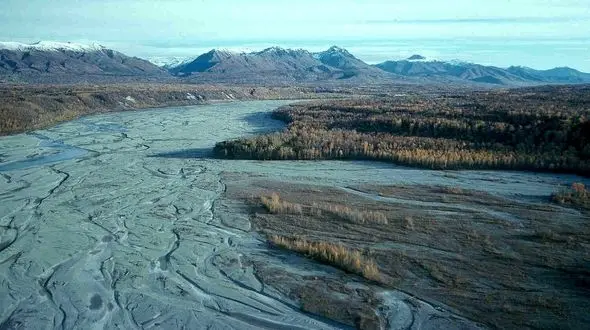 معدن طلای رهاشده در کف سدهای کشور/ خاک های آبرفتی سدها را دریابید