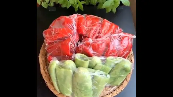 پختن متفاوت کدو و فلفل دلمه ای + فیلم 