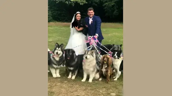 مهمانان عجیب مراسم عروسی زوج جوان سوژه رسانه ها شد+ عکس