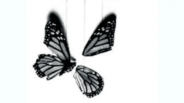 محاکمه مردی که باعث خودکشی دختر تهرانی شد