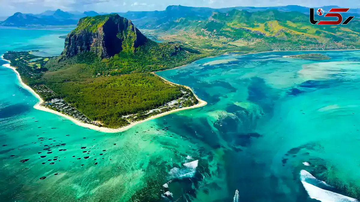 موریس بهشت روی زمین + فیلم