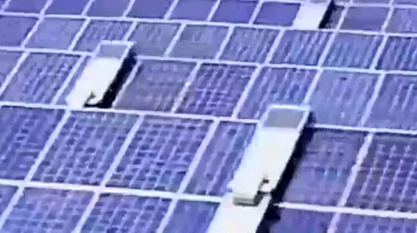 این ربات پنل‌ خورشیدی را تمیز می کند + فیلم