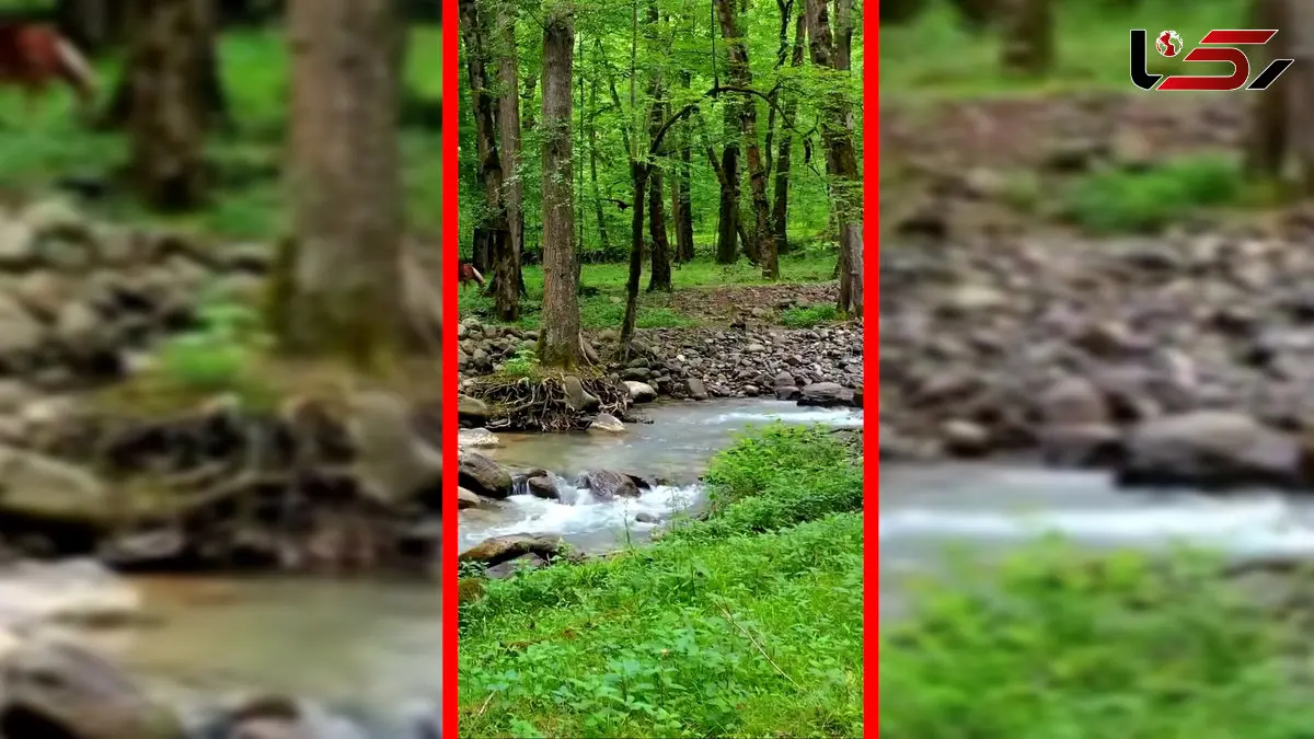 فیلم مسیر آبشار اسکلیم در دل لفور