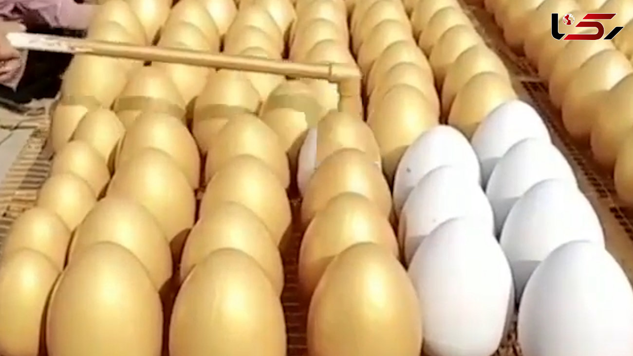 چطور تخم شترمرغ را طلایی کنیم؟ + فیلم