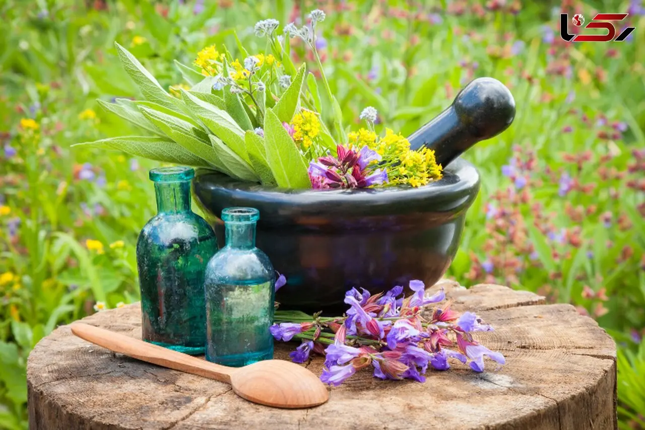راهکار خطرناک وزیر بهداشت قرقیزستان برای درمان کرونا + فیلم

