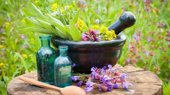 راهکار خطرناک وزیر بهداشت قرقیزستان برای درمان کرونا + فیلم
