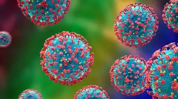  سویه جدید کرونا به نام «سیکادا» از راه رسید
