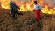 آتش سوزی ۶۰ هکتار از مراتع تالاب خشکیده هامون + عکس 
