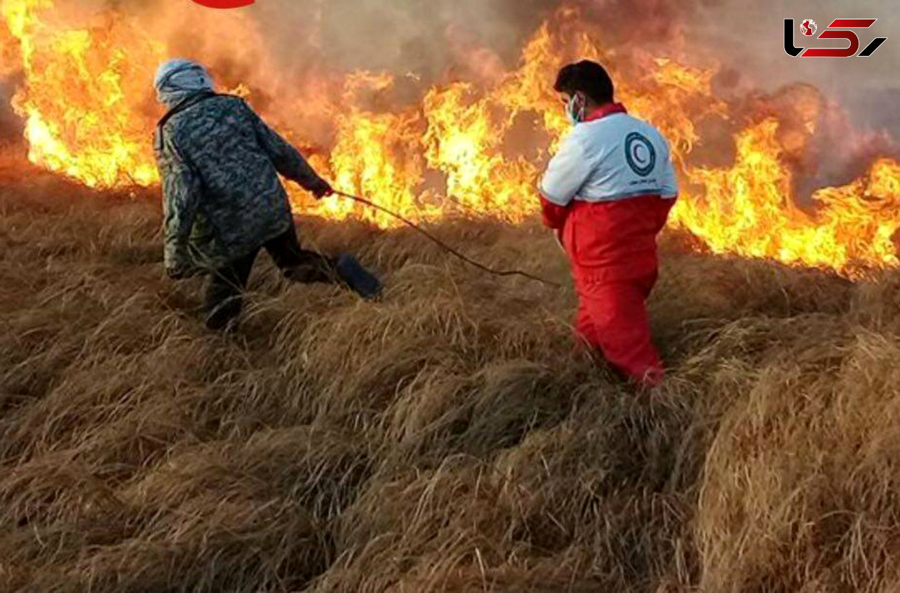 آتش سوزی ۶۰ هکتار از مراتع تالاب خشکیده هامون + عکس 