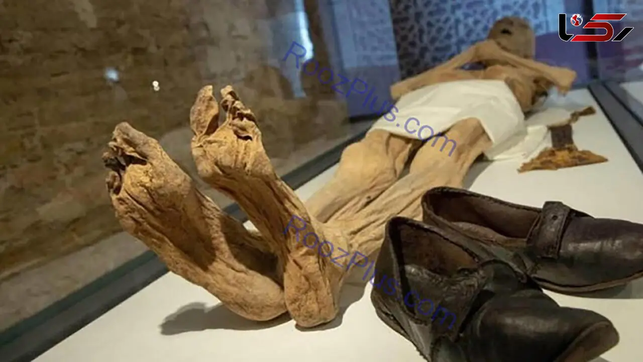 جسد پوسیده مردی در منزلش ۶ ماه پس از مرگ + عکس