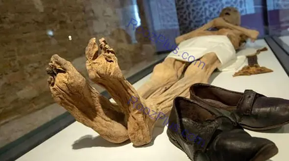 جسد پوسیده مردی در منزلش ۶ ماه پس از مرگ + عکس