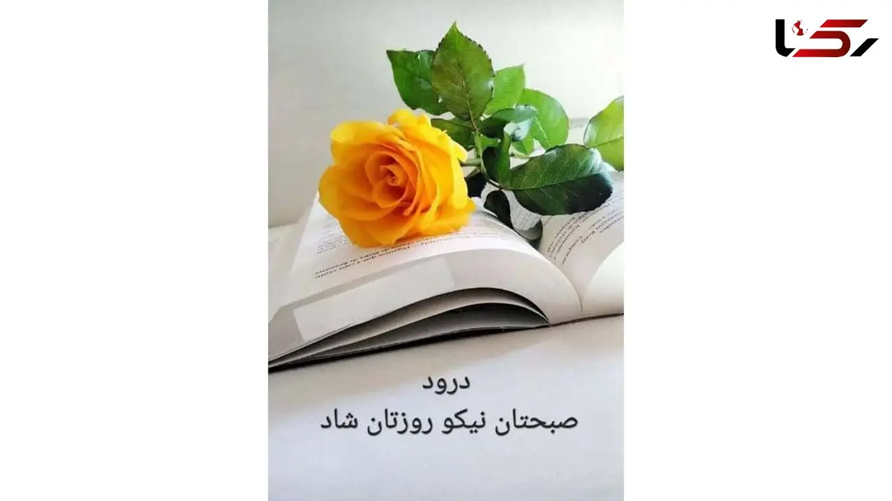 فال و طالع بینی روزانه 7 آذر + فیلم 