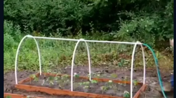 آبیاری قطره‌ای متفاوت / ابتکاری ساده اما کاربردی + فیلم