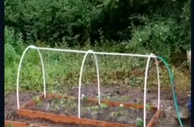 آبیاری قطره‌ای متفاوت / ابتکاری ساده اما کاربردی + فیلم