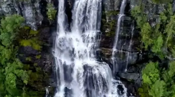 زندگی یک پیشنهاد هست، از اون به خوبی استفاده کنید