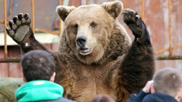 صحنه‌ای دلهره‌آور و غیرمنتظره که یک شهروند در سطل زباله دید! + فیلم