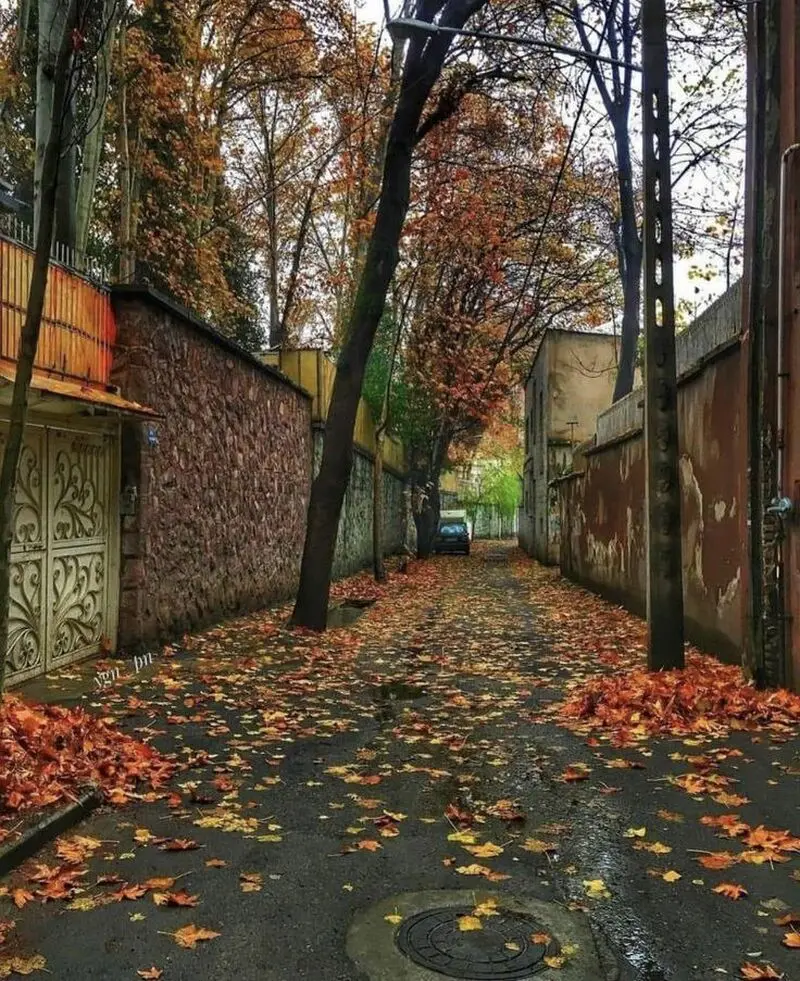 کوچه های پاییزی تهران