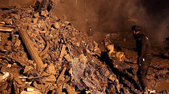 ماجرای آزمایش DNA از خانواده های افراد گرفتار شده در پلاسکو چه بود؟