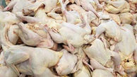 خودکفایی کشور در تولید گوشت مرغ