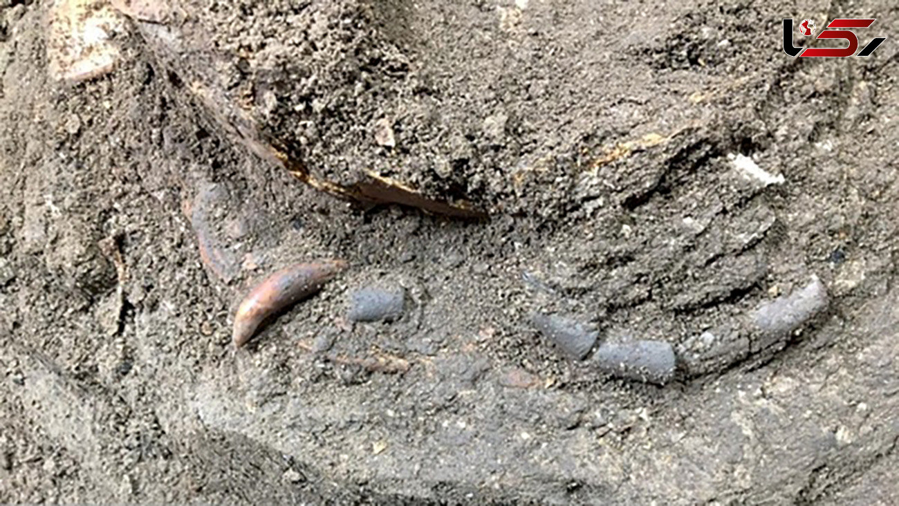 کشف اسکلت 12 هزار ساله کودک مازندرانی /  نشسته دفن شده است + عکس
