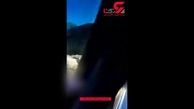 واکنش جالب راننده نیسان آبی هنگام مشاهده پلنگ + فیلم