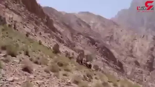 نجات جان کوهنورد آسیب دیده در ارتفاعات ۳۰۰۰ متری کرمان + فیلم