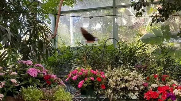 در تاریکی نور شوید