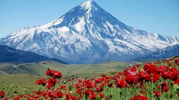 فال ابجد امروز / 15 تیر ماه + فیلم 