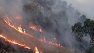 آتش سوزی بزرگ در جنگل های تنکابن