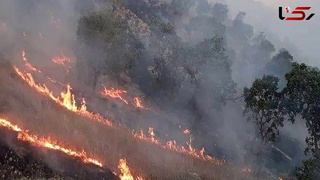 گسترش آتش‌سوزی‌های جنگلی پرخطر در غرب استرالیا