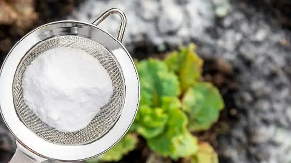 نقش جوش شیرین در سلامت، محیط زیست و صنایع غذایی