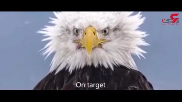 عجیب ترین تصاویری که فتوشاپ نیستند + تصویر