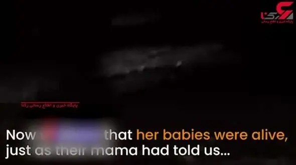 حس مادرانه این سگ اشک کاربران را سرازیر کرد / توله ها زیر آوار بودند + فیلم