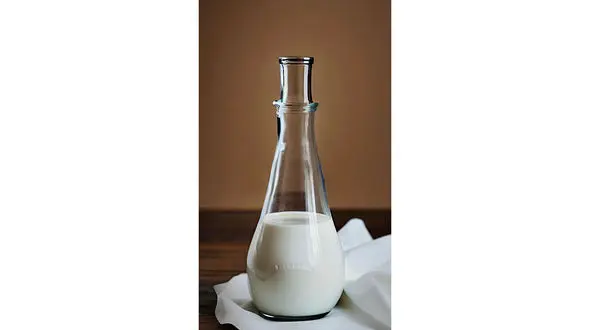 چند لیوان شیر در روز بنوشیم؟ 