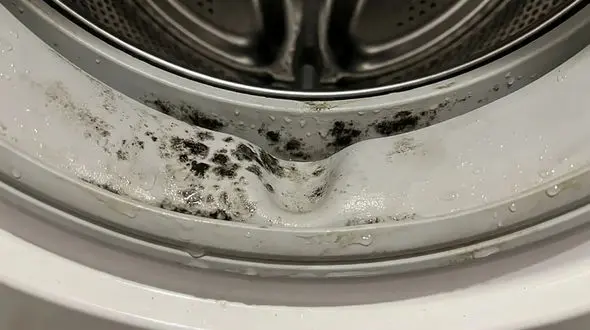 چگونه لاستیک ماشین لباسشویی را تمیز کنیم؟ راهنمای حذف بوی بد و جرم