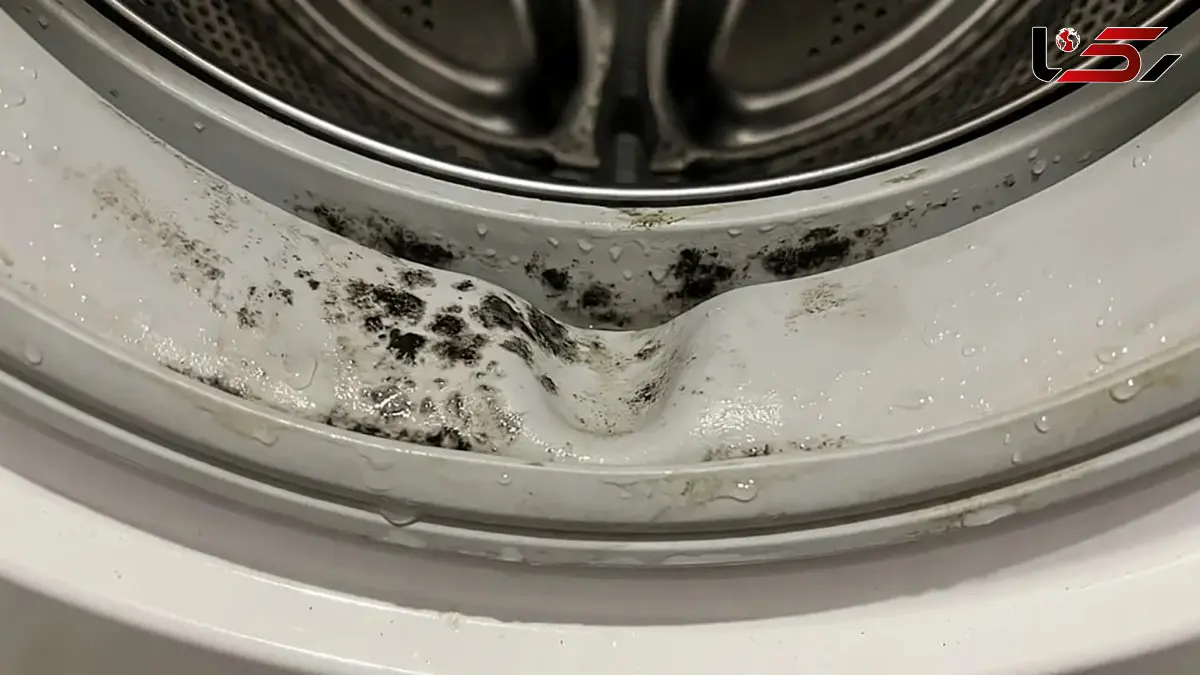 چگونه لاستیک ماشین لباسشویی را تمیز کنیم؟ راهنمای حذف بوی بد و جرم