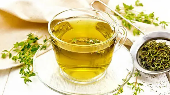 عرق آویشن چه خواصی دارد؟ + اینفوگرافی
