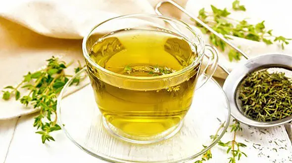 عرق آویشن چه خواصی دارد؟ + اینفوگرافی