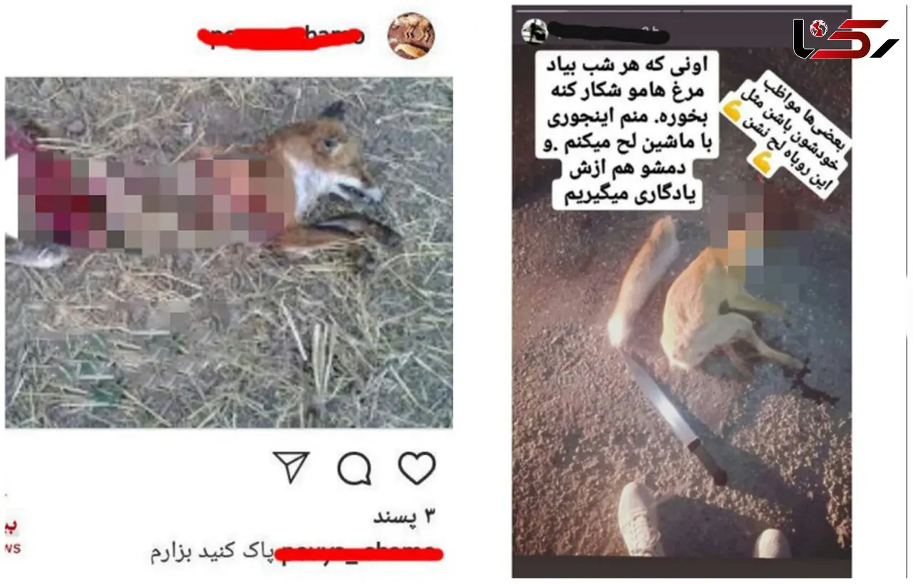 بازداشت یک مرد بخاطر انتشار عکس های وحشتناک / در ماکو صورت گرفت + عکس های تکاندهنده