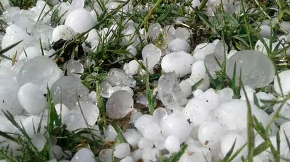 ببینید | تگرگ و برف غیر طبیعی مردم کویت را میخکوب کرد + فیلم