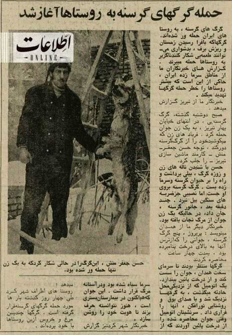 این مرد با شکار گرگ گرسنه، زن جوان را نجات داد