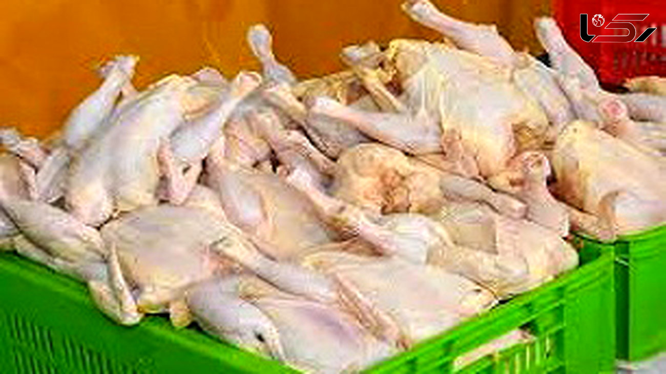 پیش‌بینی افزایش قیمت مرغ از اواسط بهمن ماه