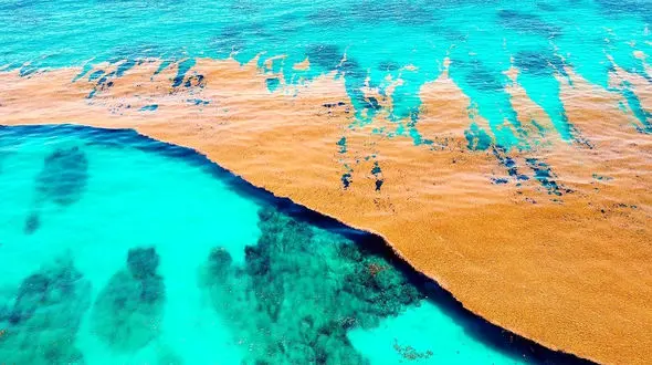 فیلم زندگی در اقیانوس ها / خانه اصلی حیات زمین